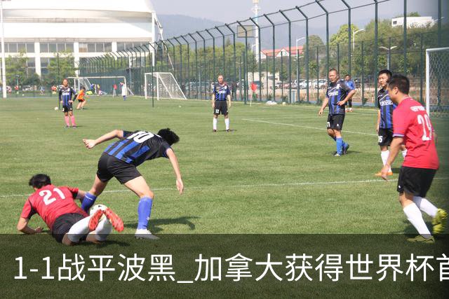 1-1战平波黑 加拿大获得世界杯首个积分